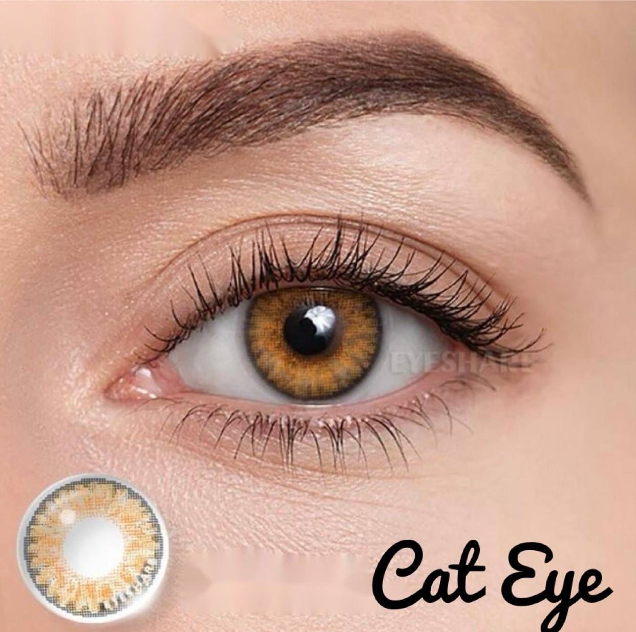 Lentes de Contacto