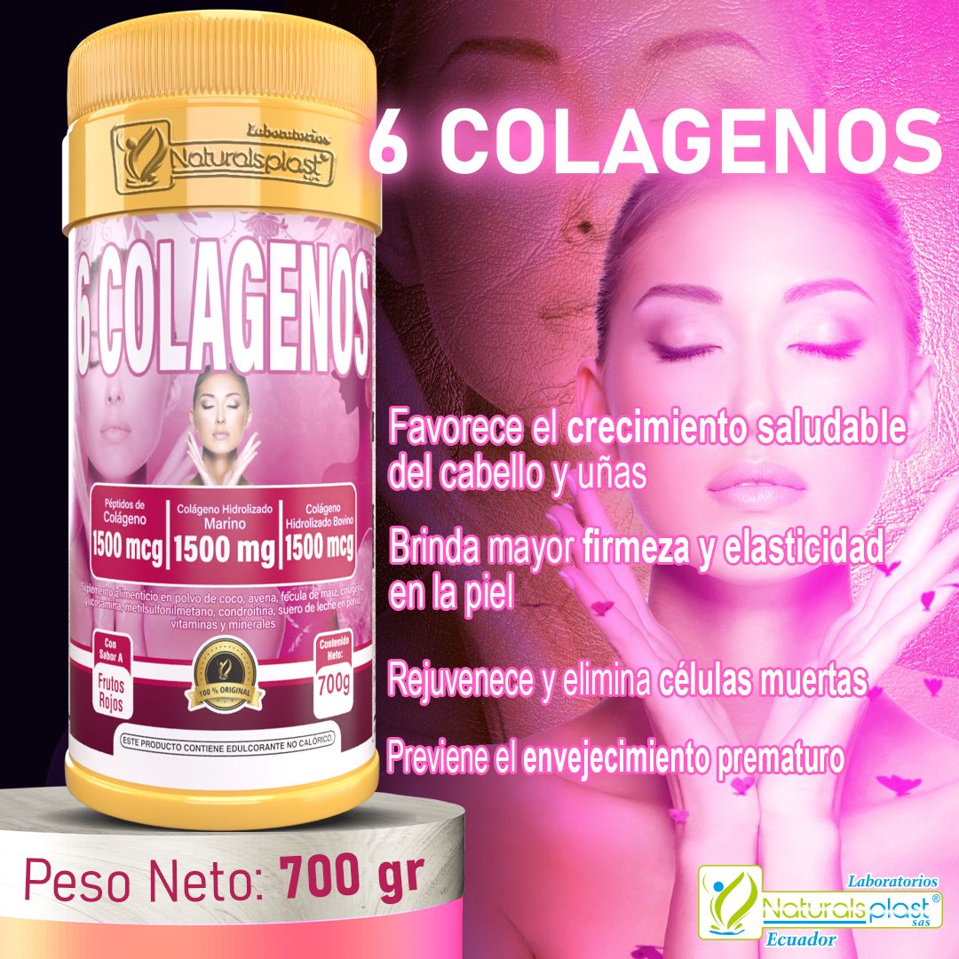 6 Colágenos – 700g